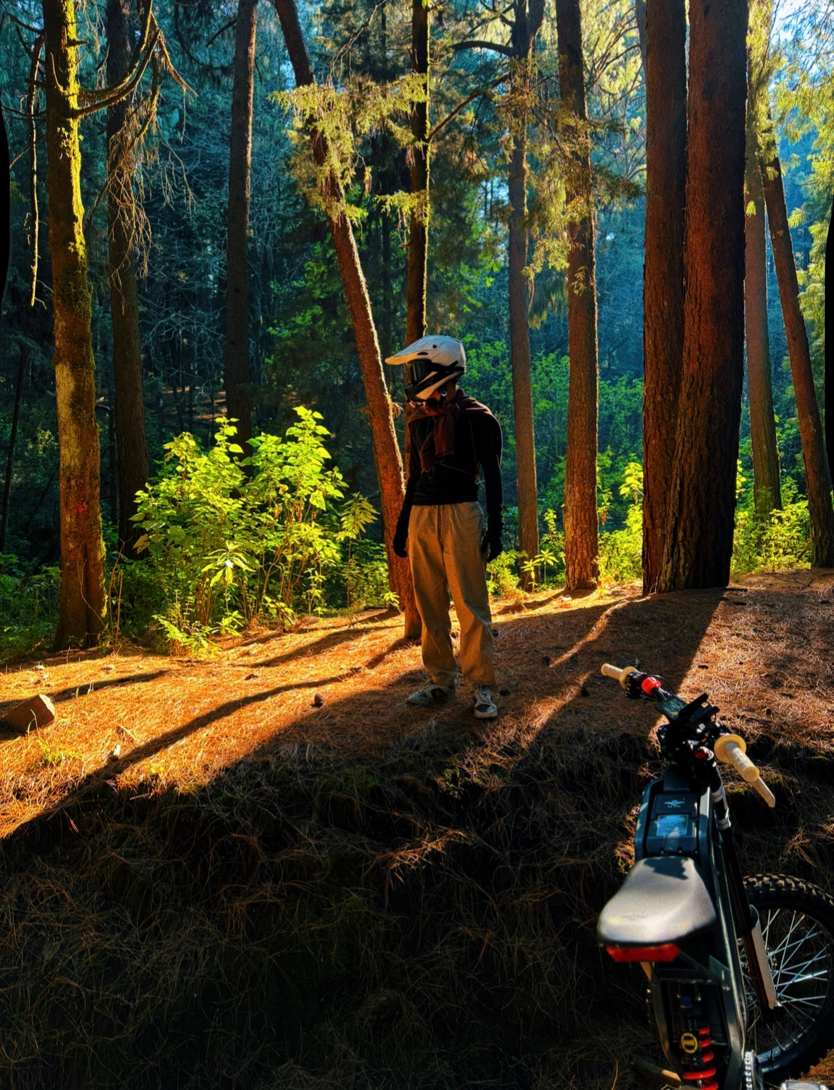 Bikes